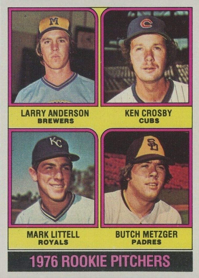 1976 Topps Larry Anderson #593 Baseball Card