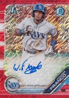 2019 Bowman Prospect Autographs Chrome #WF Wander Franco Red Shimmer Baseball Card