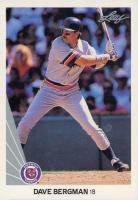 1990 Leaf #244 Dave Bergman Baseball Card