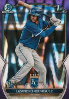2023 Bowman Chrome Prospects #BCP47 Lizandro Rodriguez Purple Raywave Refractor Baseball Card