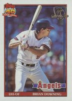 1991 Topps Desert Shield #255 Brian Downing Baseball Card