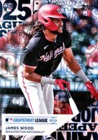 2025 Topps Training Grounds #TG18 James Wood Baseball Card