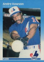 1987 Fleer Glossy #316 Andre Dawson Baseball Card