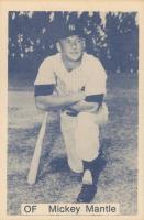 1975 TCMA All-Time New York Yankees # Mickey Mantle Baseball Card