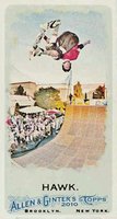2010 Topps Allen & Ginter  #54 Tony Hawk Mini-Allen & Ginter Back Baseball Card