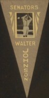 1916 Ferguson Bakery Felt Pennant # Walter Johnson Baseball Card