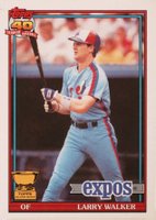 1991 O-Pee-Chee #339 Larry Walker Baseball Card
