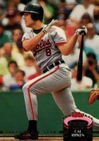 1993 Stadium Club Murphy #141 Cal Ripken Jr. Baseball Card