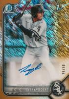 2022 Bowman Chrome Prospect Autographs #CPALS Lenyn Sosa Gold Shimmer Refractor Baseball Card