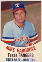 1976 Hostess #99 Wilbur Wood Hand Cut Baseball Card