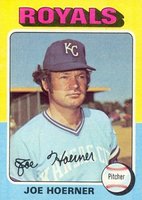 1975 Topps #629 Joe Hoerner Baseball Card