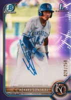 2022 Bowman Chrome Prospect Autographs #CPAHG Herard Gonzalez Purple Refractor Baseball Card