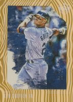 2020 Panini Diamond Kings #143 Ken Griffey Jr. Framed Wood Baseball Card