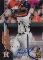 2020 Topps Clearly Authentic Autographs #YA Yordan Alvarez Black Baseball Card
