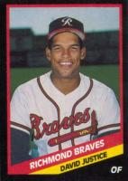 1988 CMC Richmond Braves #17 David Justice Baseball Card