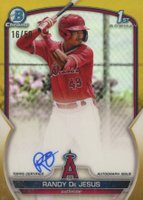 2023 Bowman Chrome Prospect Autographs #CPARD Randy de Jesus Gold Refractor Baseball Card