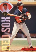 1995 Leaf #391 Jose Canseco Baseball Card