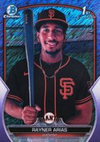 2023 Bowman Chrome Prospects #BCP222 Rayner Arias Purple Shimmer Baseball Card