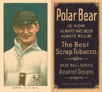 1909 White Borders Polar Bear #353 Red Murray Portrait Baseball Card