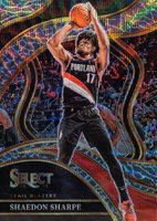 2023 Panini Select #215 Shaedon Sharpe Elephant Basketball Card
