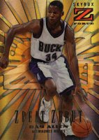 1996 Skybox Z-Force Zebut #2 Ray Allen Z-Peat Zebut Basketball Card
