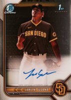 2022 Bowman Chrome Prospect Autographs #CPAJSA Jarlin Susana Baseball Card