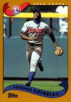 2002 Topps #100 Vladimir Guerrero Baseball Card