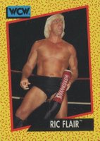 rare wcw cards WCW wrestling series 1 rare cards set