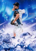 2枚 2種類 BBM 2016 大谷翔平 SHOHEI OHTANI CROSS FREEZE 1st Version