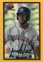 2019 Bowman 30th Anniversary Chrome #YA Yordan Alvarez Gold Refractor Baseball Card