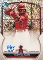 2023 Bowman Chrome Prospect Autographs #CPARD Randy de Jesus Speckle Refractor Baseball Card