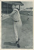 1954 All-Star Photo Pack # Ted Williams Baseball Card