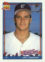1991 Topps Desert Shield #256 Greg Hibbard Baseball Card