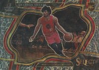 2022 Panini Select #292 Shaedon Sharpe Elephant Basketball Card