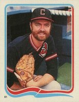 1985 Fleer Star Stickers #81 Bert Blyleven Baseball Card