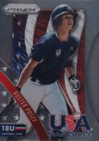 2014 Panini Prizm USA Baseball #10 Buster Posey Baseball Card