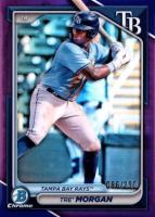 2024 Bowman Draft #BDC197 Tre' Morgan Chrome-Purple Refractor Baseball Card