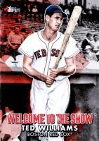 2022 Topps Welcome to the Show #WTTS32 Ted Williams Baseball Card