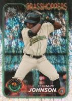 2024 Topps Pro Debut #PD175 Termarr Johnson Sparkle Foil Baseball Card