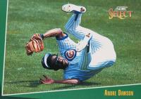 1993 Select #9 Andre Dawson Baseball Card