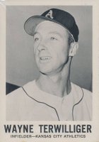 1960 Leaf #134 Wayne Terwilliger Baseball Card