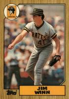 1987 Topps Tiffany #262 Jim Winn Baseball Card