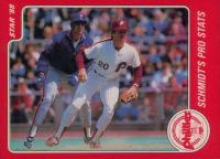1988 Star Mattingly/Schmidt #2 Mattingly/Schmidt Schmidt's Pro Stats Baseball Card
