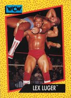 1991 Impel WCW Wrestling Other Sports Card Set - VCP Price Guide