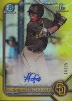 2022 Bowman Chrome Prospect Autographs #CPAYR Yendry Rojas Yellow Refractor Baseball Card
