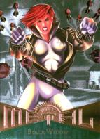 1995 Marvel Metal Non-Sports Card Set - VCP Price Guide
