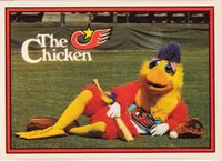 1982 Donruss #531 San Diego Chicken No Trademark Symbol Baseball Card