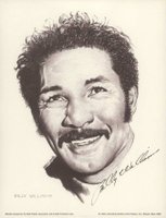 1976 Linnett Portraits # Billy Williams Baseball Card