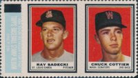 1962 Topps Stamp Panels # Sadecki/Cottier Baseball Card