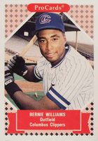 1991 Procards Tomorrows Heroes #106 Bernie Williams Baseball Card